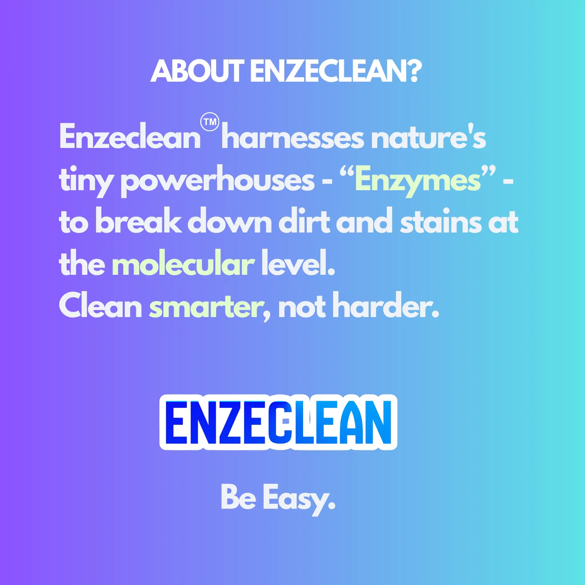 Foam Cleaner-Multipurpose